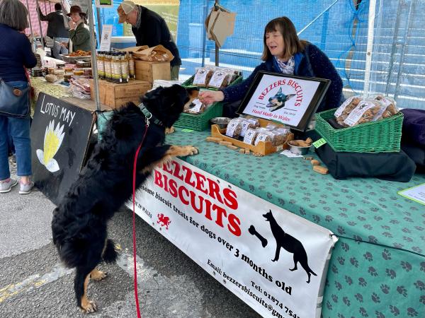 Local dog Alfie loves his Bezzers Biscuit - Pictured here at Hay Market